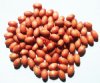 100 9x6mm Light Brown Oval Wood Beads 
